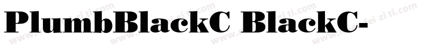 PlumbBlackC BlackC字体转换